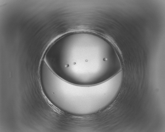 X0000056361388200508260934