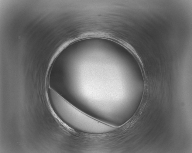 X0000056361389200508260934