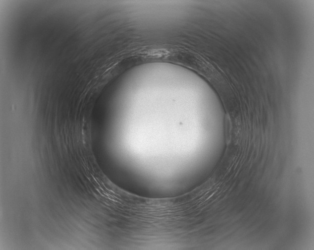 X0000056361394200508260934