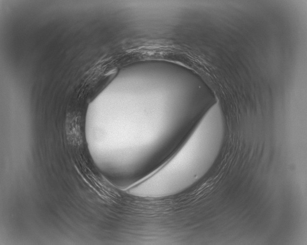X0000056361396200508260934