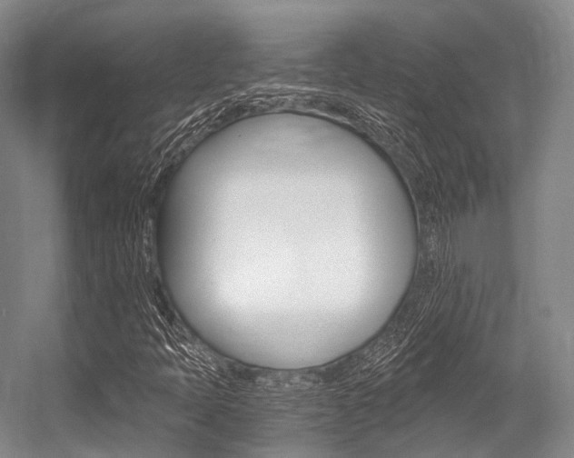 X0000056361397200508260934