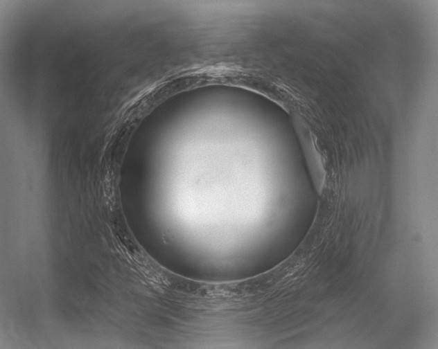 X0000056361398200508260934