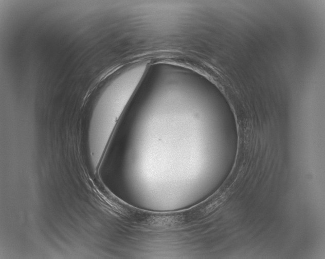 X0000056361402200508260934
