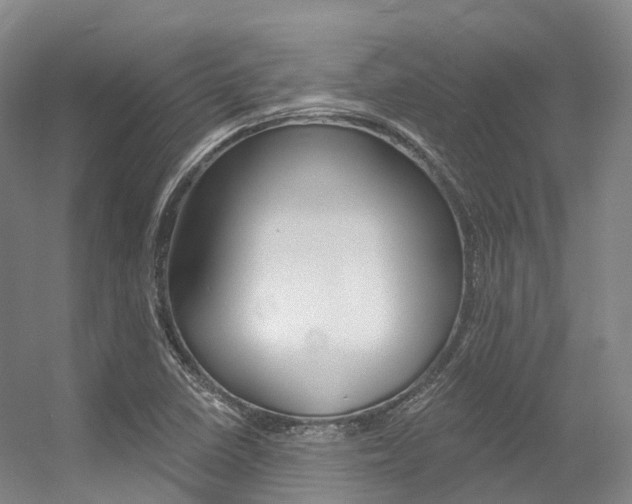 X0000056361410200508260934