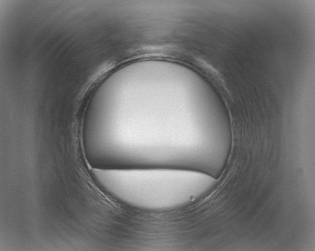 X0000056361411200508260934