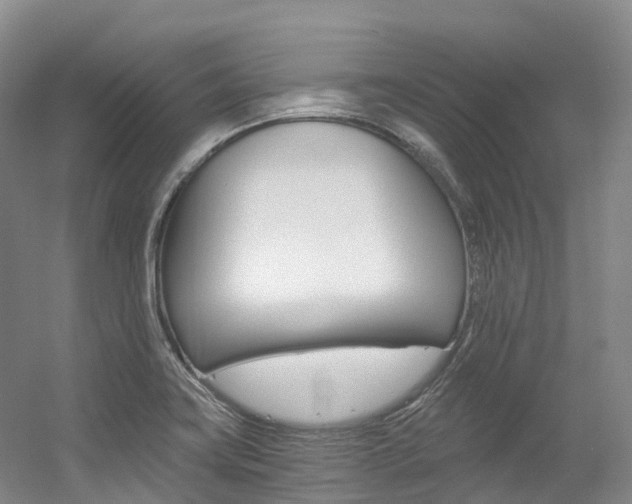X0000056361419200508260934