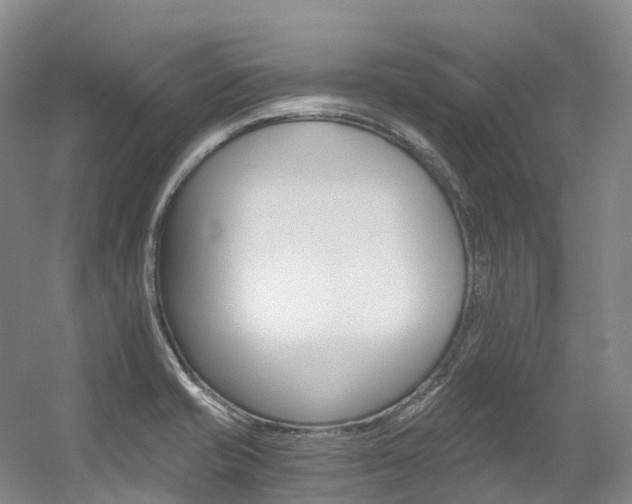 X0000056361421200508260934
