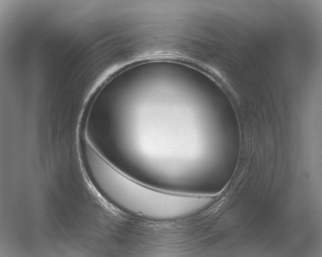 X0000056361422200508260934