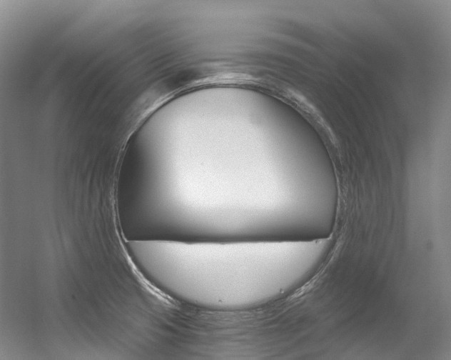X0000056361425200508260934