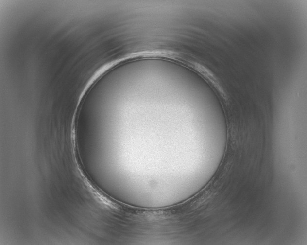 X0000056361428200508260934