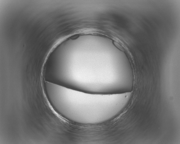 X0000056361429200508260934