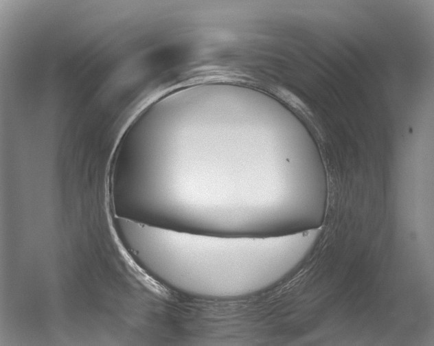 X0000056361431200508260934