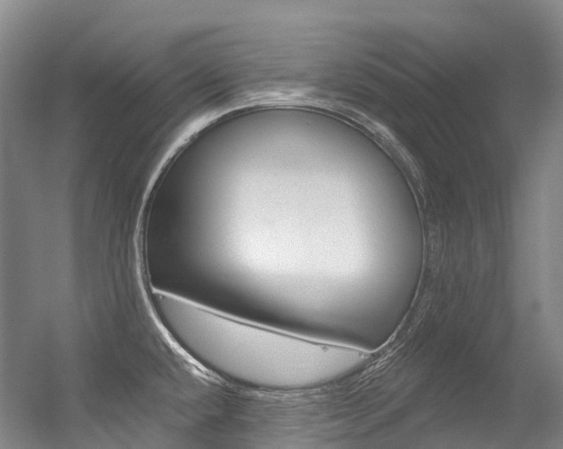X0000056361432200508260934
