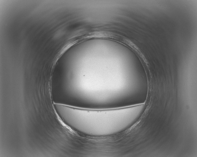 X0000056361433200508260934