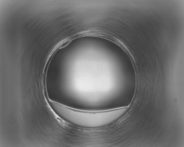 X0000056361434200508260934