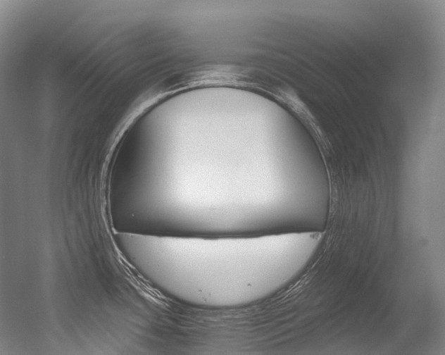 X0000056361435200508260934