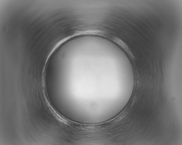 X0000056361436200508260934