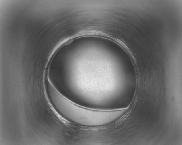 X0000056361438200508260934