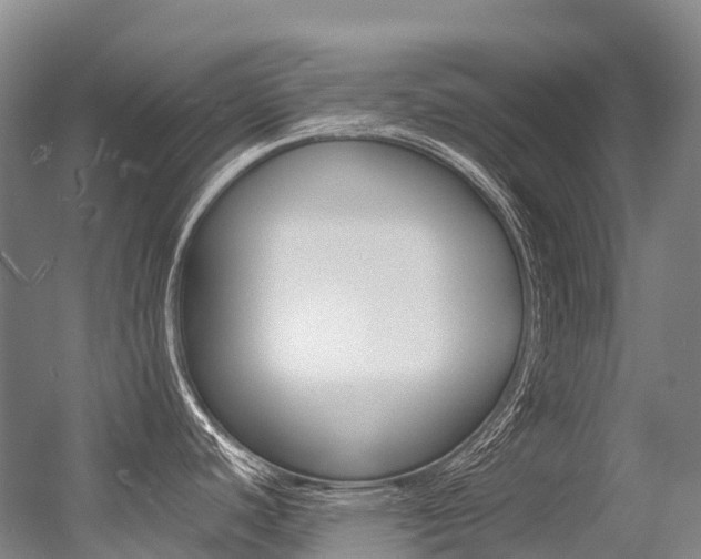 X0000056361440200508260934