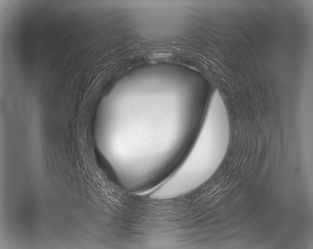X0000056361441200508260934