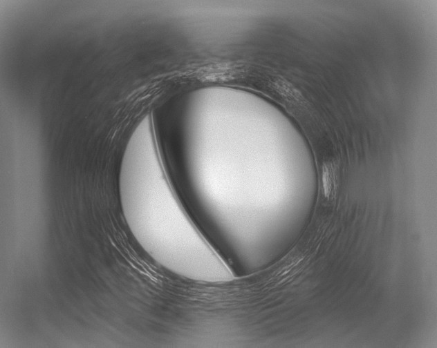 X0000056361444200508260934