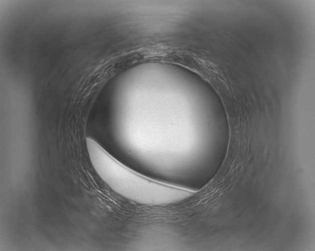 X0000056361445200508260933