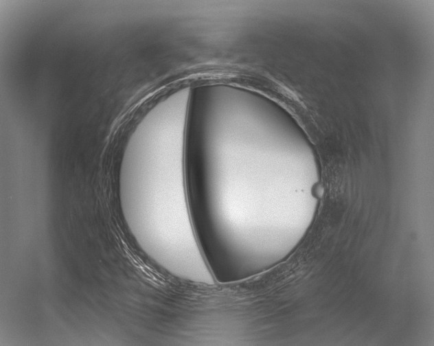 X0000056361448200508260933