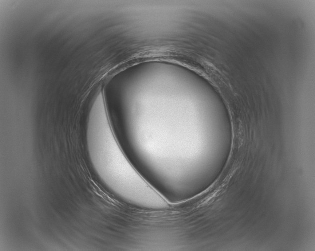 X0000056361449200508260933