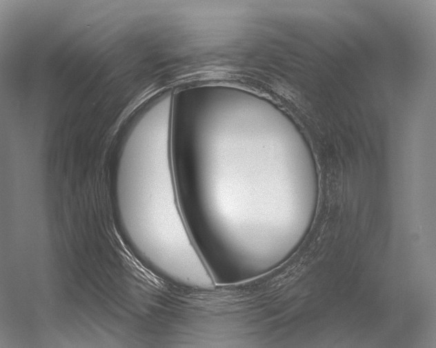 X0000056361450200508260933
