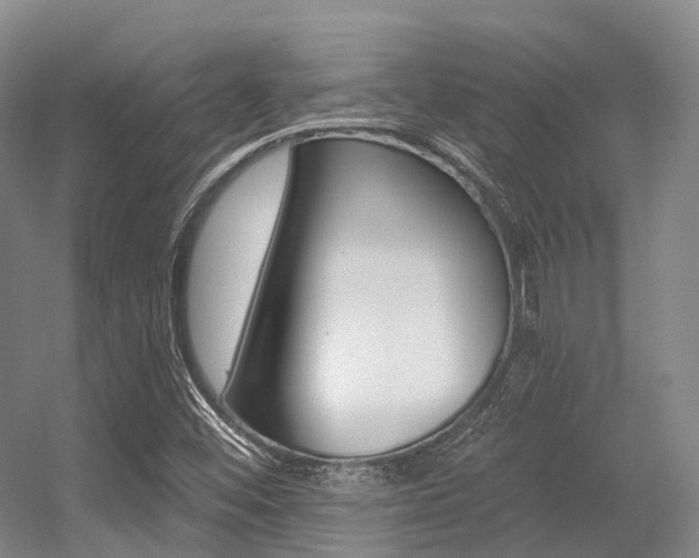 X0000056361452200508260933