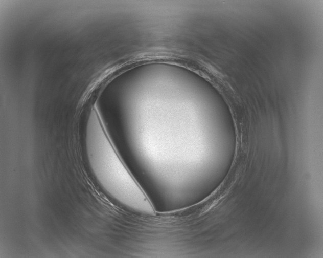 X0000056361453200508260933