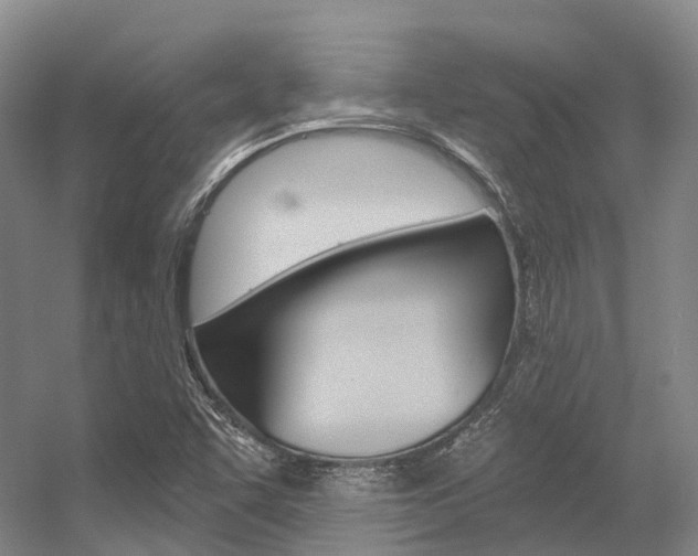 X0000056361455200508260933