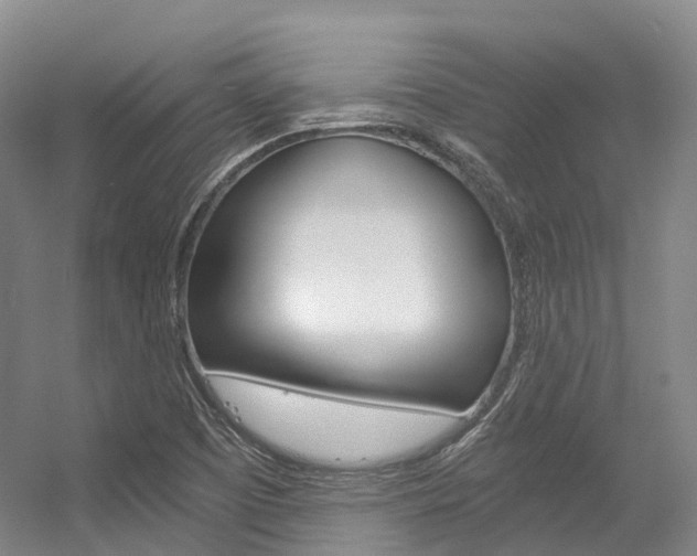 X0000056361457200508260933