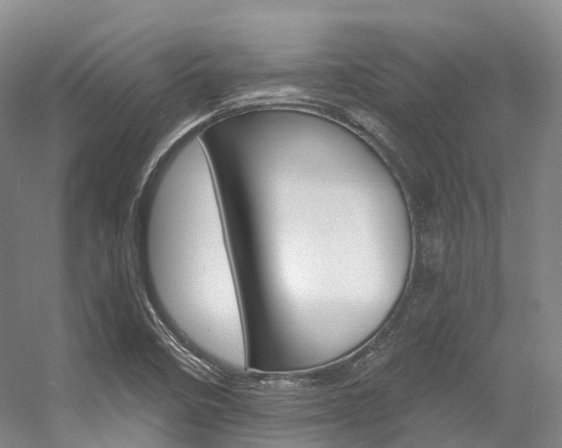 X0000056361458200508260933