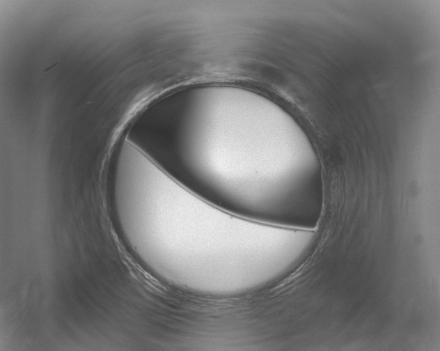 X0000056361459200508260933