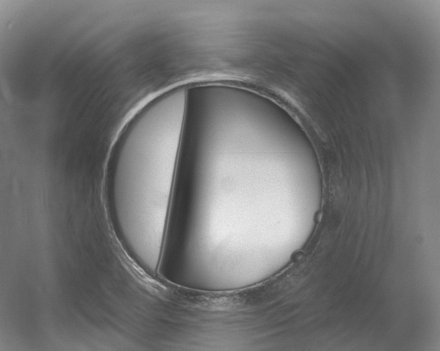 X0000056361460200508260933