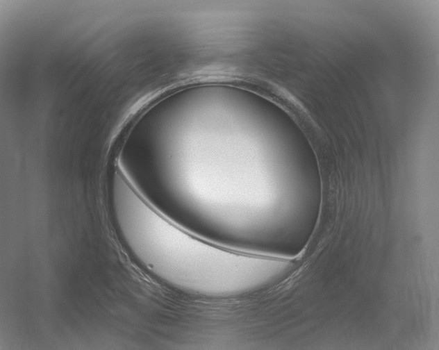 X0000056361461200508260933