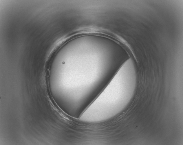 X0000056361464200508260933