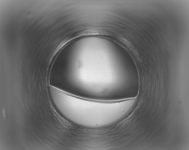 X0000056361465200508260933