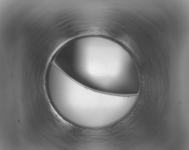 X0000056361468200508260933