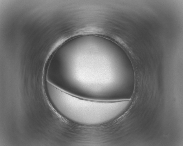 X0000056361469200508260933