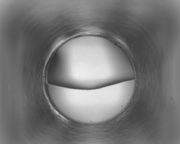 X0000056361471200508260933