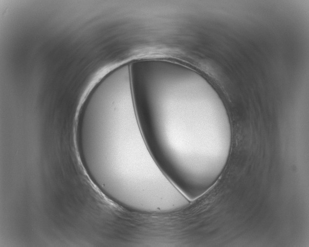 X0000056361472200508260933