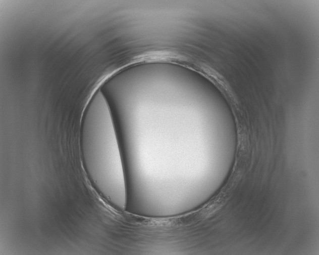 X0000056361473200508260933