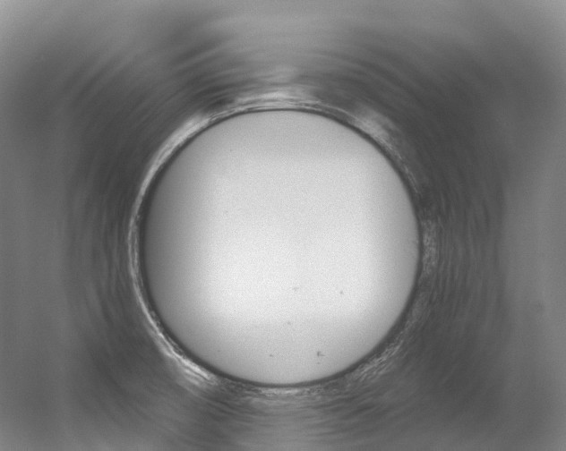 X0000056361474200508260933
