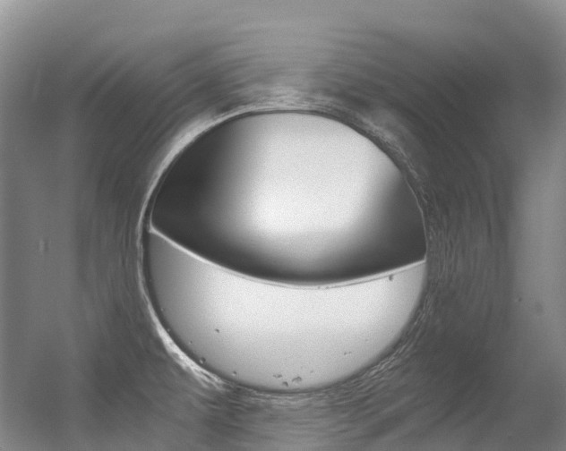 X0000056361479200508260933