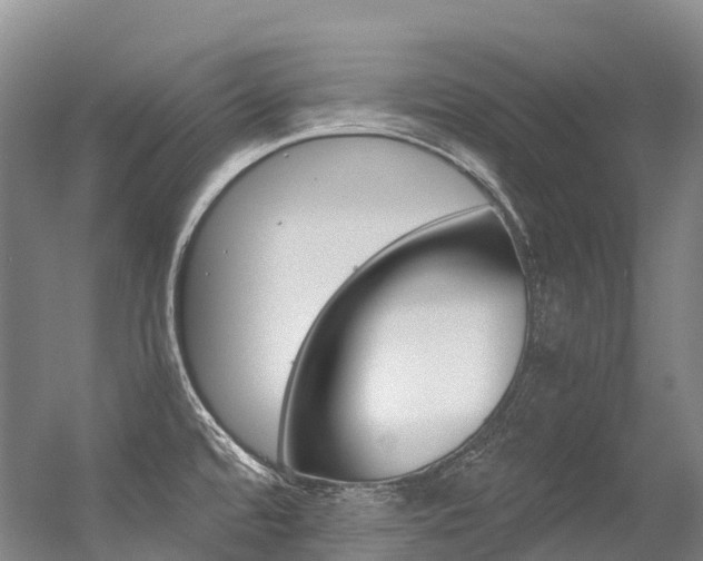 X0000056361480200508260933