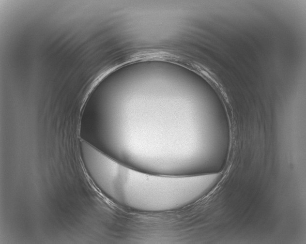 X0000056361481200508260933