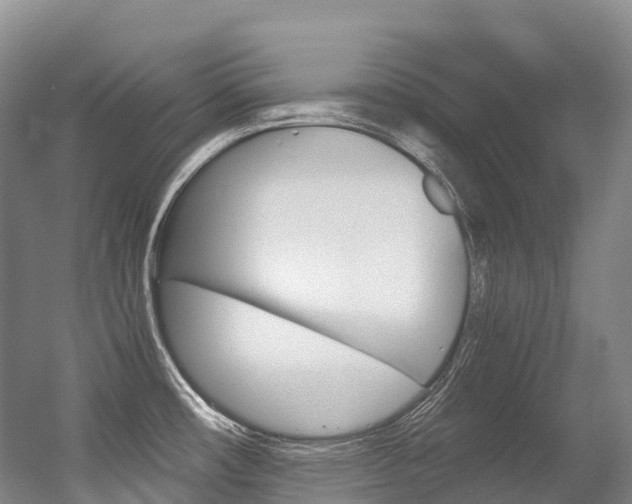 X0000056361482200508260933