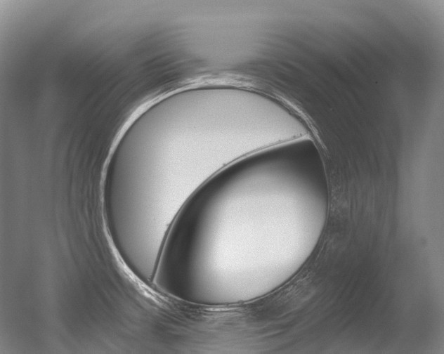 X0000056361483200508260933